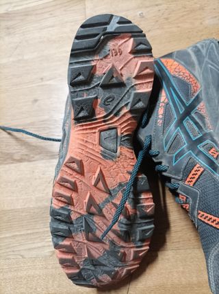 Zapatillas Asics Gel Venture