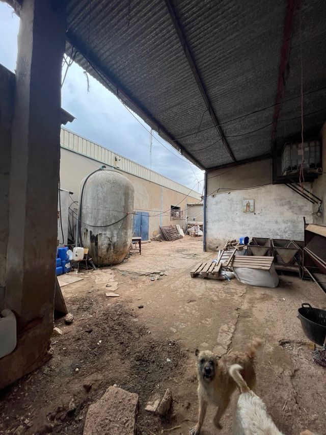 Explotacion ganadera