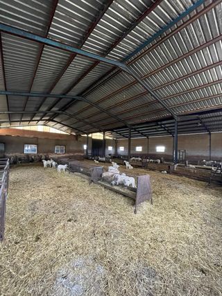 Explotacion ganadera