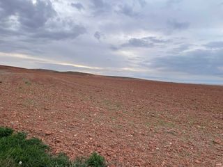 Explotacion ganadera