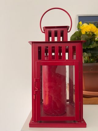 Farolillo rojo
