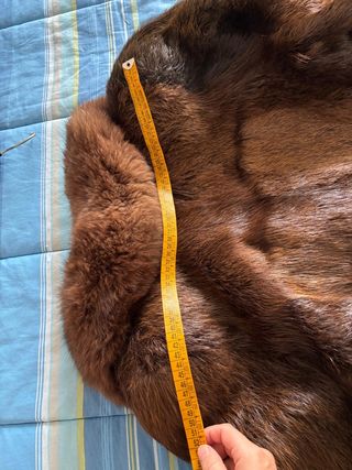 Pelliccia marmotta