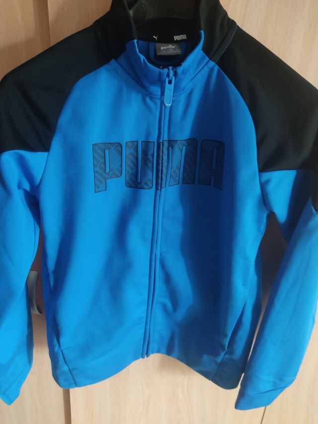 Sudadera niño puma