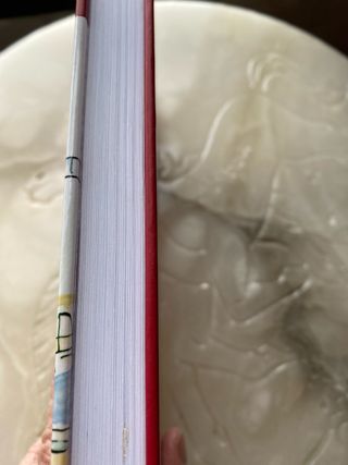 EL CASO DEL BAÑADOR DEL PROFESOR DE MATES