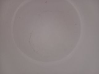 Tazza Loacker