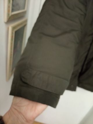 Trenca invierno