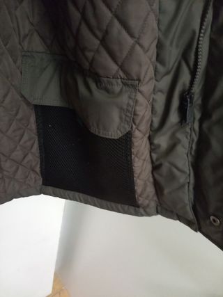 Trenca invierno