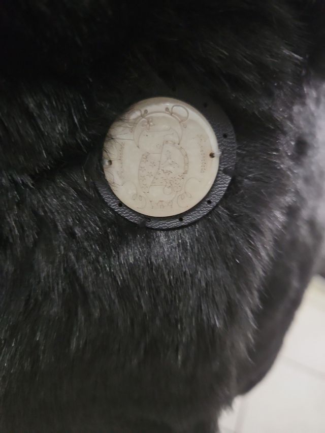 Pelliccetta Fracomina S-M