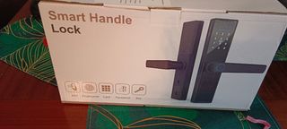 Serratura porta Fingerprint Lock WiFi bluetooth