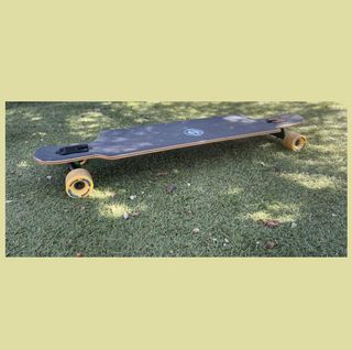 Longboard Long Island