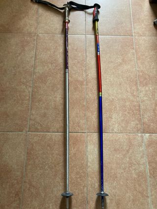 2 Palos de esqui alpino