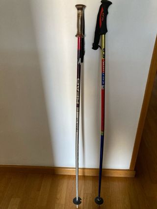 2 Palos de esqui alpino