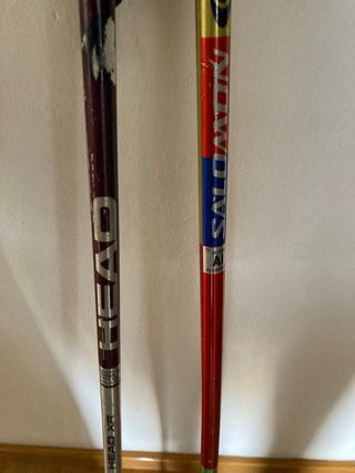 2 Palos de esqui alpino