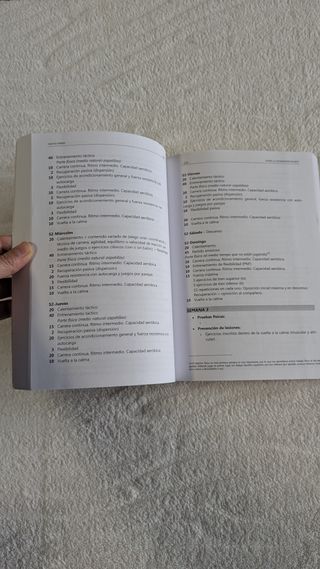 Fútbol, el entrenador de éxito