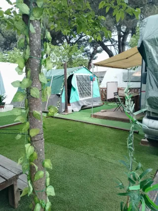 Caravana y parcela de alquiler en camping un 2x1