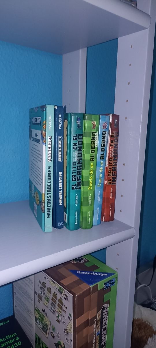 Colección libros Minecraft