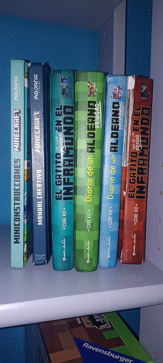 Colección libros Minecraft