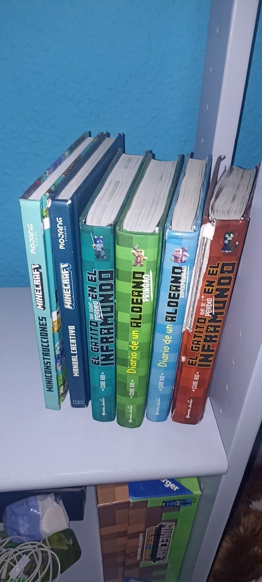 Colección libros Minecraft