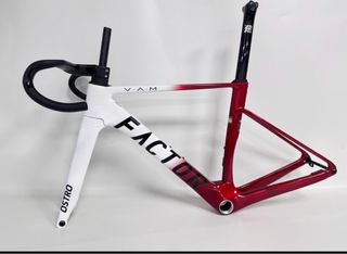 ¡¡¡ CUADRO FACTOR OSTRO !!!