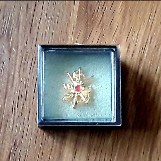 Pin Agrupación del ACAR Getafe *