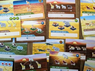 Juego de mesa Vida Salvaje: Serengueti