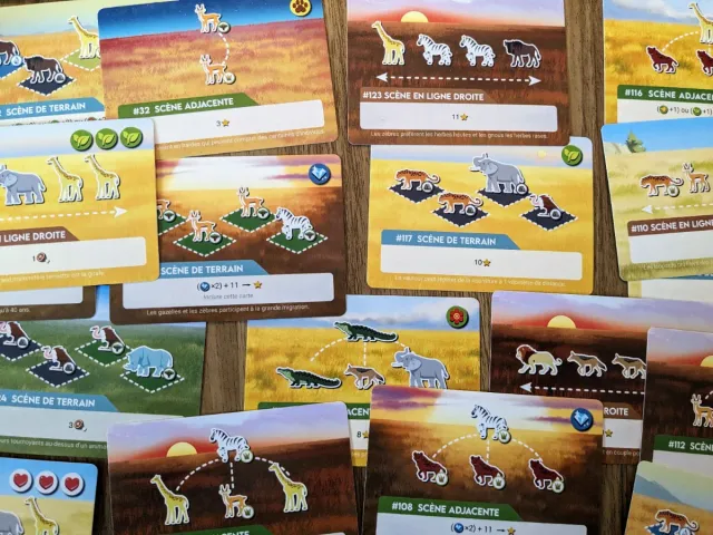 Juego de mesa Vida Salvaje: Serengueti