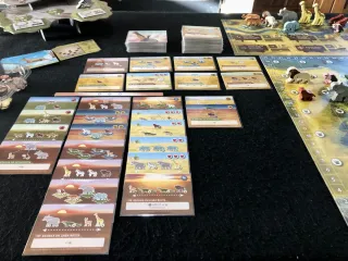 Juego de mesa Vida Salvaje: Serengueti