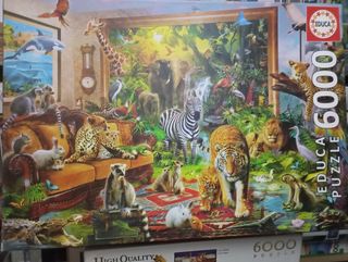 Puzzle 6000