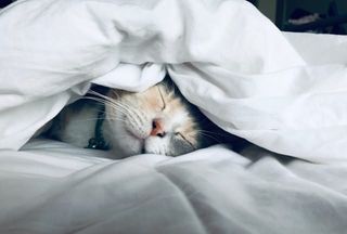 SUEÑO REPARADOR.