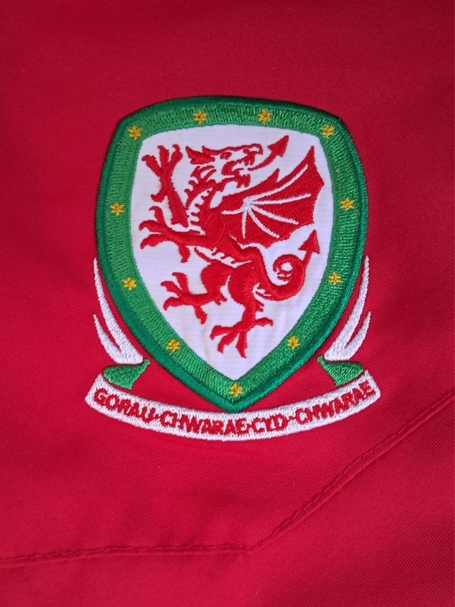 Chaqueta fútbol selección Gales