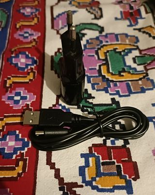 Cable cargador Nintendo DS Lite 