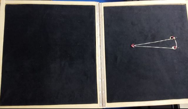 Organizador transportadorbisuteria