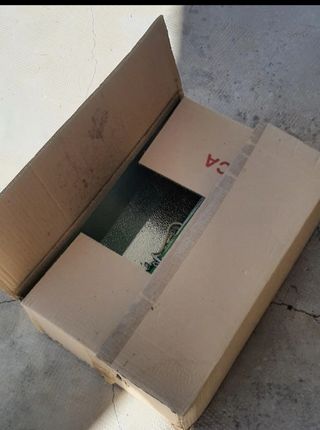 Kits cultivo interior 