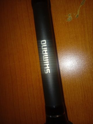 Canna da pesca spinning mare