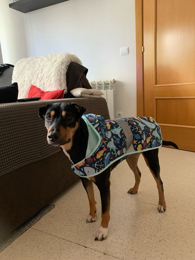 Impermeabile per cani