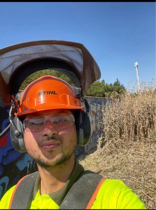 Servicio de jardineria 682032743