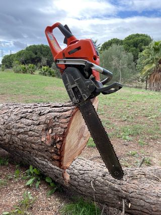 Servicio de jardineria 682032743