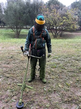 Servicio de jardineria 682032743