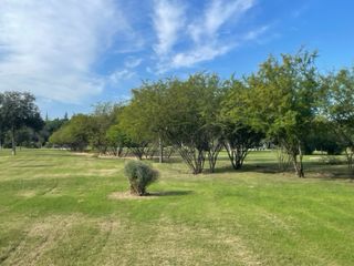 Servicio de jardineria 682032743