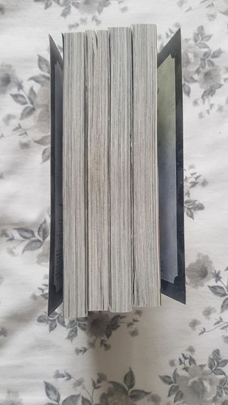 Fumetti manga, il principe dei sogni