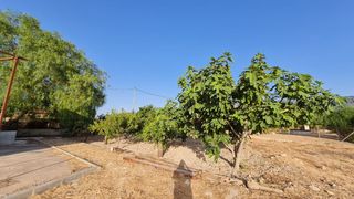 Finca con vivienda