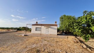 Finca con vivienda