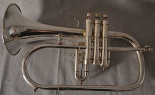 Fliscorno Getzen Eterna RawBrass