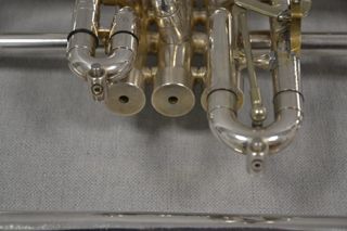 Fliscorno Getzen Eterna RawBrass