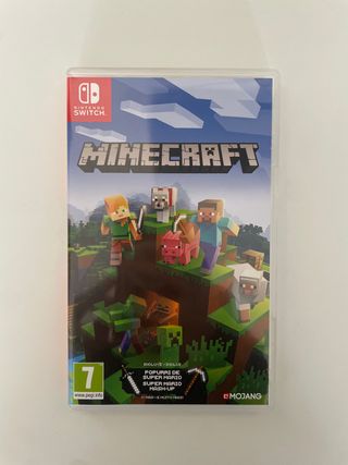 Minecraft Nintendo Switch