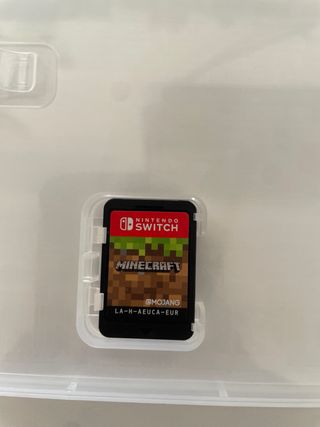 Minecraft Nintendo Switch