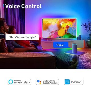 Tiras LED Alexa WiFi 6M Luces Led Echo Google