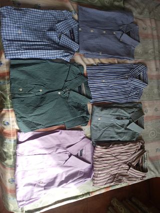 Lote camisas