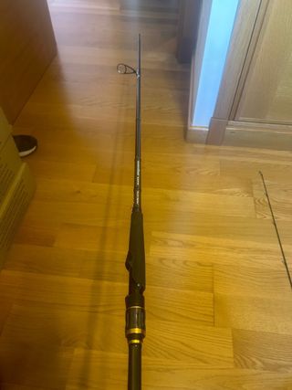 Caña Daiwa Morethan Branzino AGS 90HFS