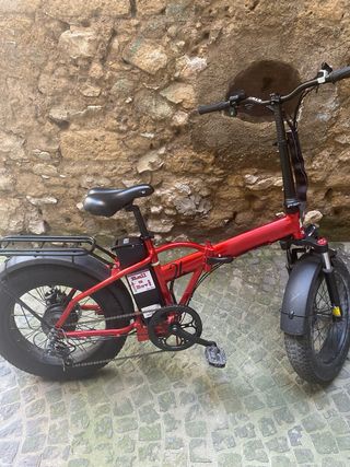 bici elettrica LEM